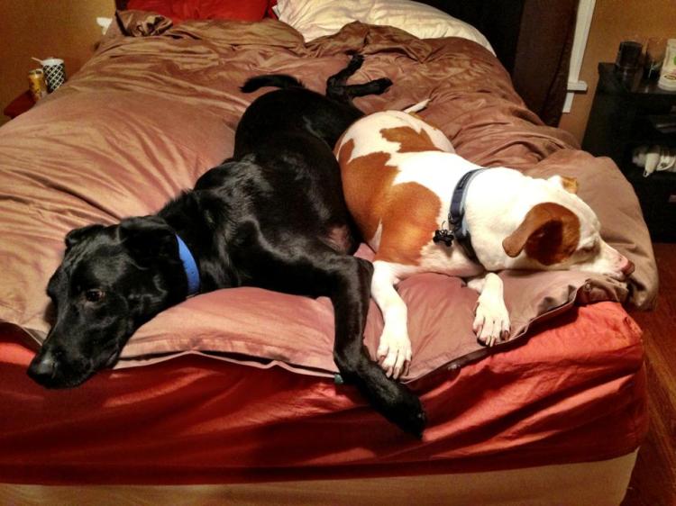 999447_616737032580_303442678_n